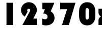 12370xi bags